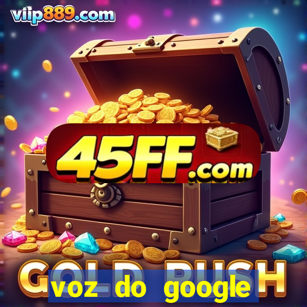 voz do google tradutor homem